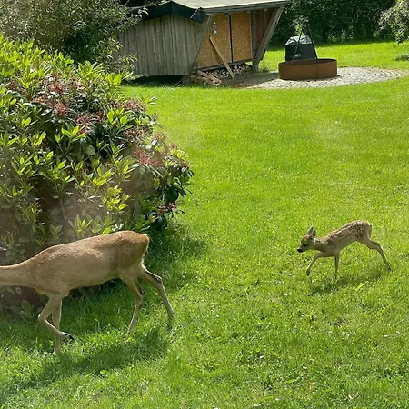 Modern Family House Near In Odsherred Сasa de vacaciones *