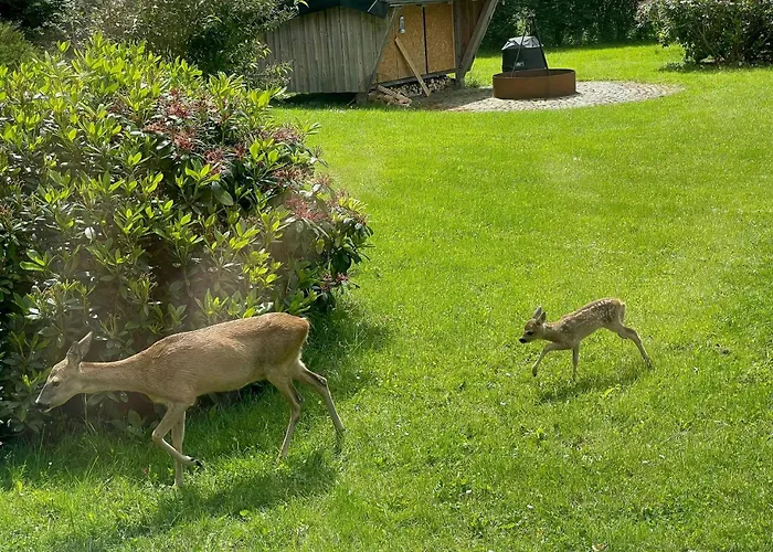 Modern Family House Near In Odsherred Сasa de vacaciones *